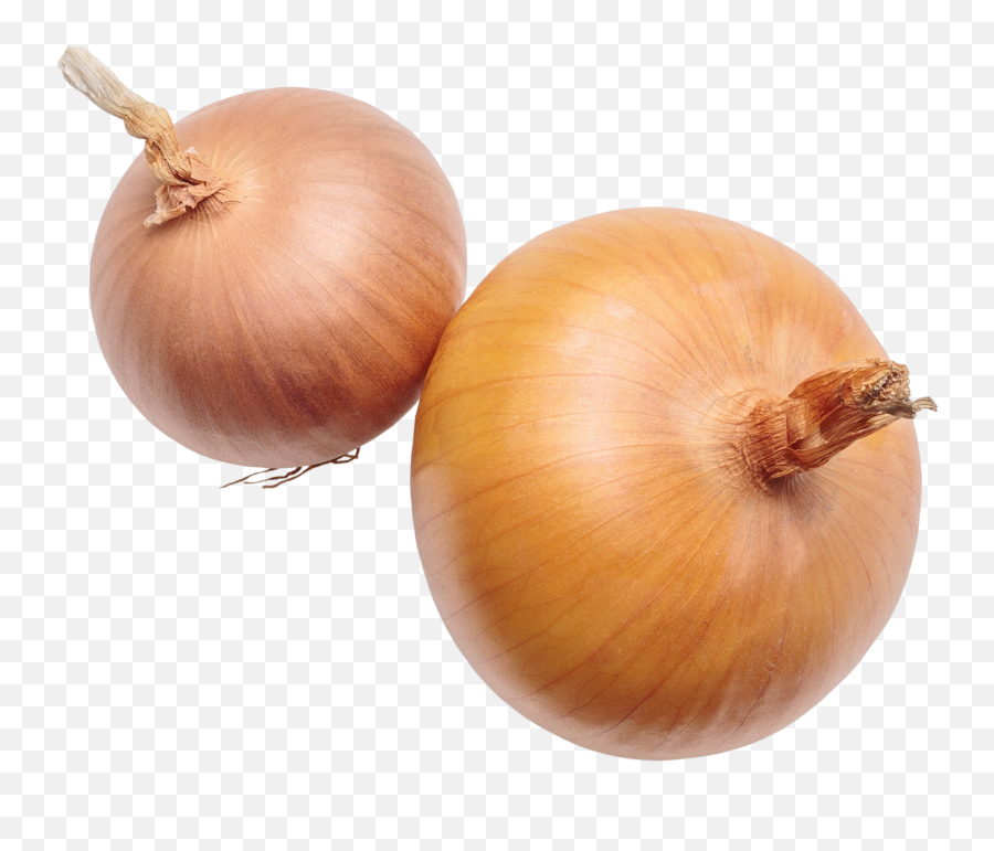 Elm Foods Emoji,Windows Onion Emoji Vector??????