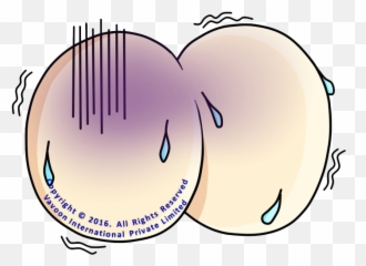 About - Happy Emoji,Butt Emoticons