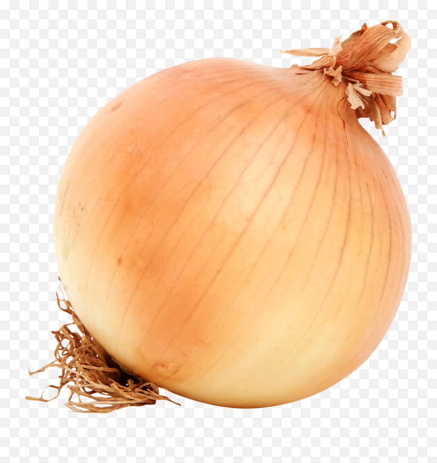 Onion Clipart Onion Peel Onion Onion - Onion Png Emoji,Onions Emoji