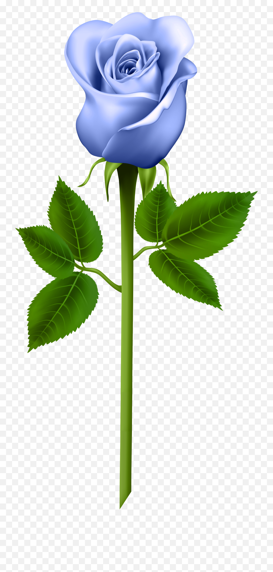 Flower Crown Emoji Transparent Backroind - Vtwctr Rose Transparent Background Blue,Wreath Emoji Transparent Background