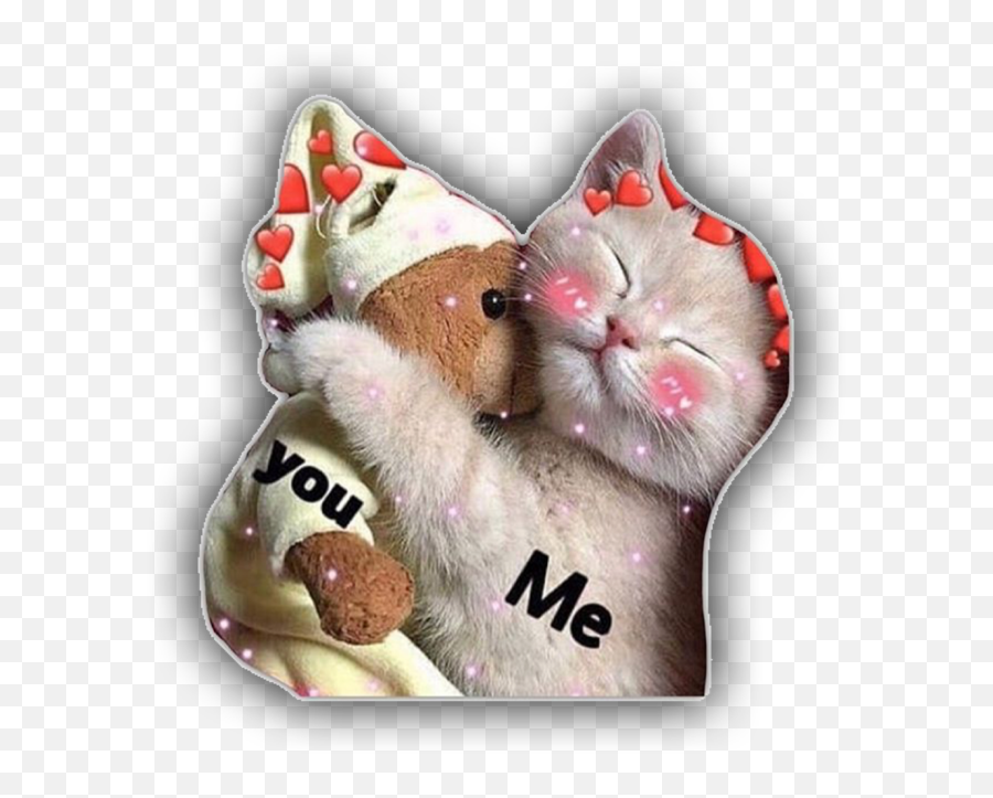 Wholesome Meme Cute Cat Wholesomememe - Soft Emoji,Cat Heart Emoji Meme