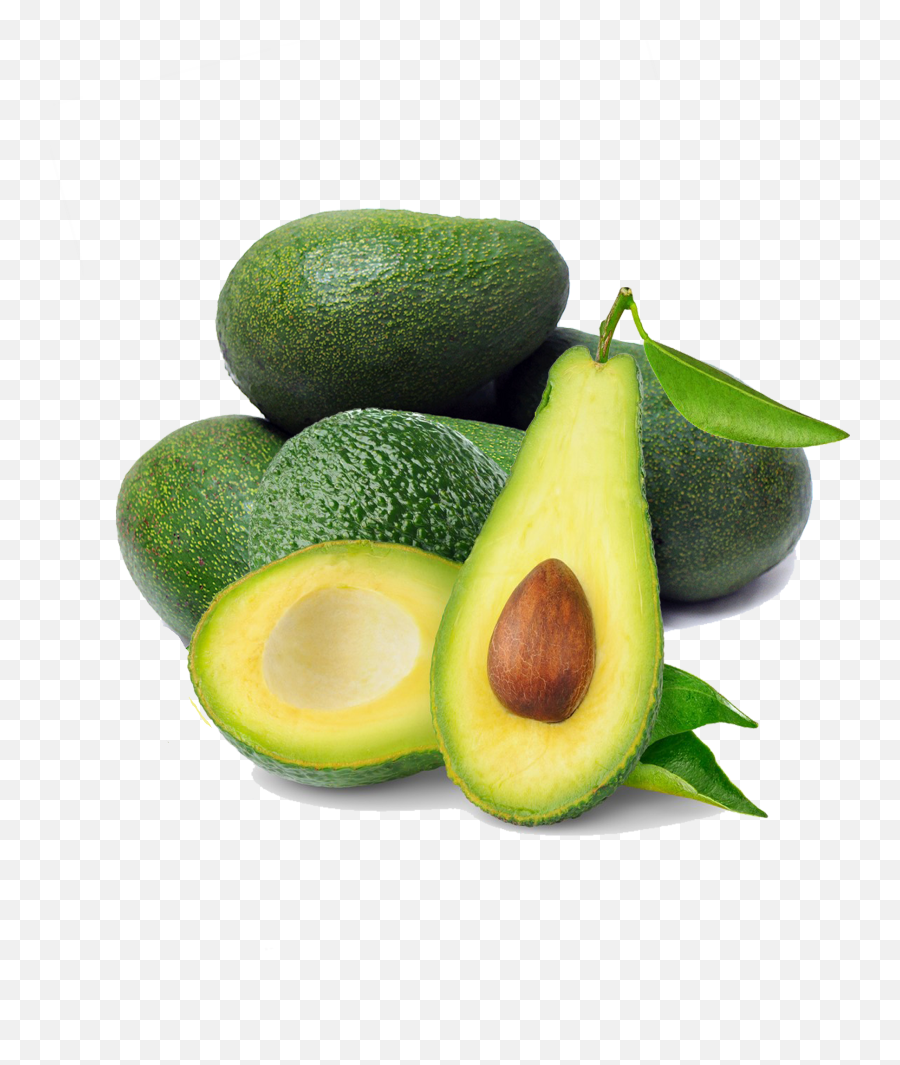 Download Avocado Png Image For Free - Avocados Png Emoji,Avocado Emoji Png