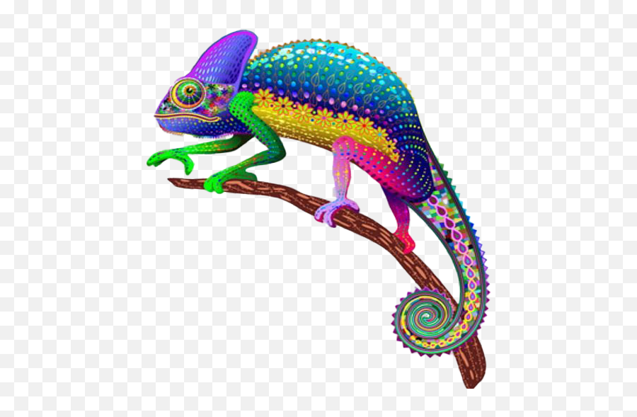 A Us Federal Court Just Approved The Use Of Electroshock - Chameleon Transparent Emoji,Chameleon Color Emotion