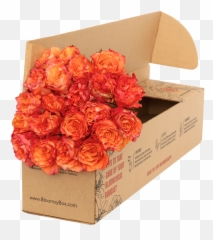 Flower Subscription Flower Of The Month Club Emoji,Virtual Flower Bouquet Emoticon