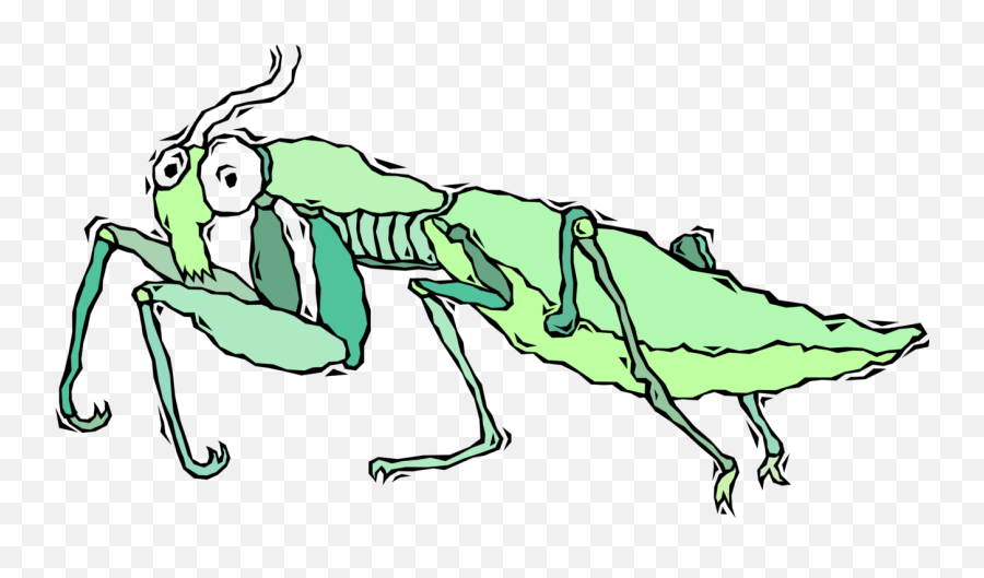 Vector Insects Praying Mantis - Cartoon Emoji,Mantis Emoji