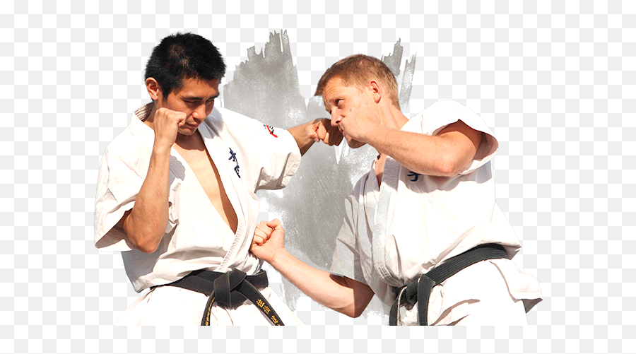 Best Children Martial Arts And Karate Lessons Online - Karate Fighting Emoji,Stephen Thompson Ufc Emotion Story