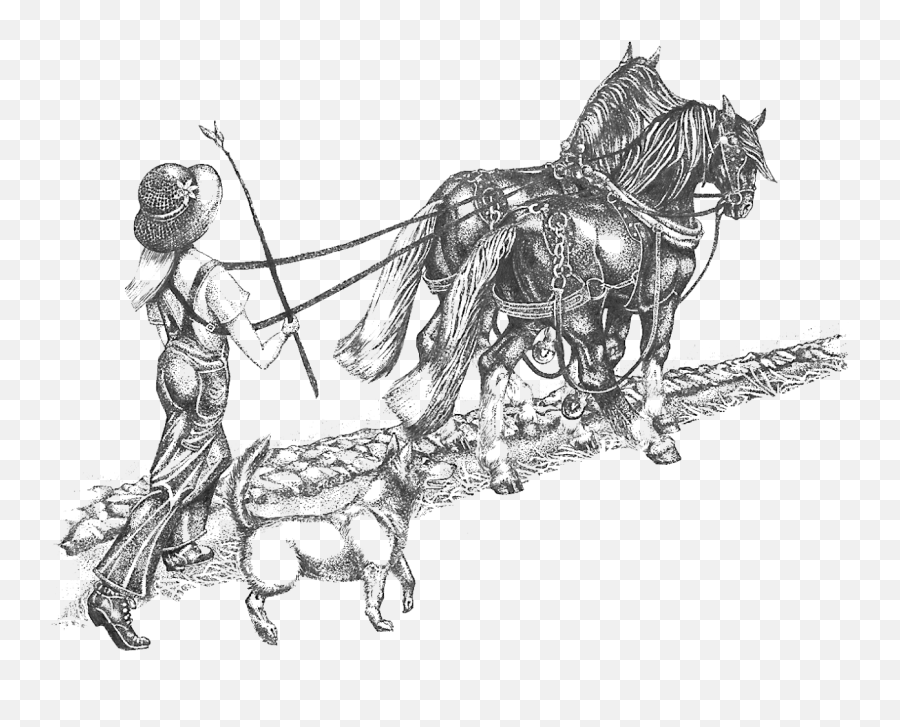 Getting Started Behind The Plow - Did Horse Drawn Plow Work Emoji,Emotion Reason Like Two Horses Pulling Same Cart