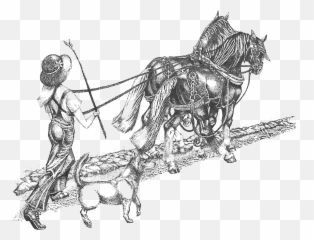 Getting Started Behind The Plow - Did Horse Drawn Plow Work Emoji,Emotion Reason Like Two Horses Pulling Same Cart