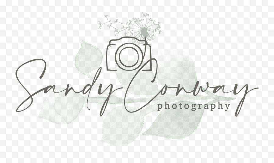 Sandy Conway Photography - Sandy Photography Logo Emoji,Alicia D'amico Pure Emotions-photography