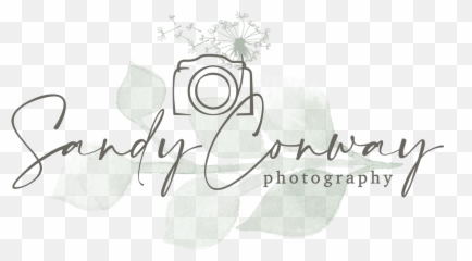 Sandy Conway Photography - Sandy Photography Logo Emoji,Alicia D'amico Pure Emotions-photography