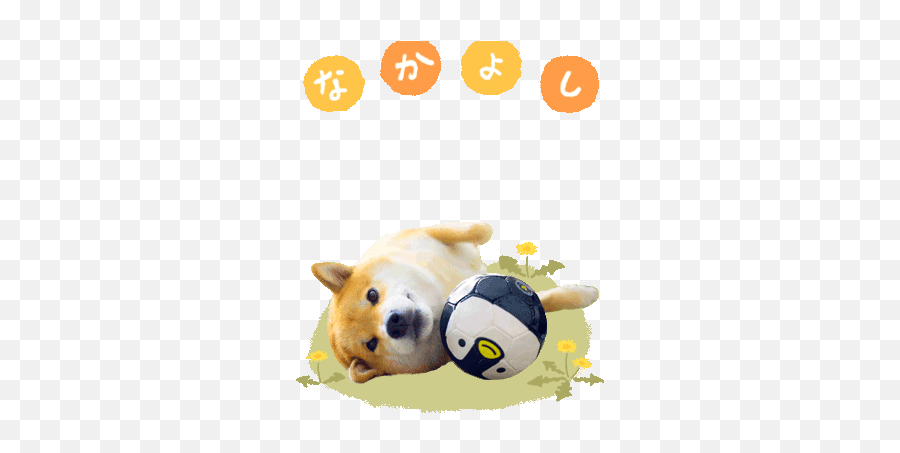 Line Official Stickers - Shiba Maru Pupups Example With Gif Emoji,Maru Emoji