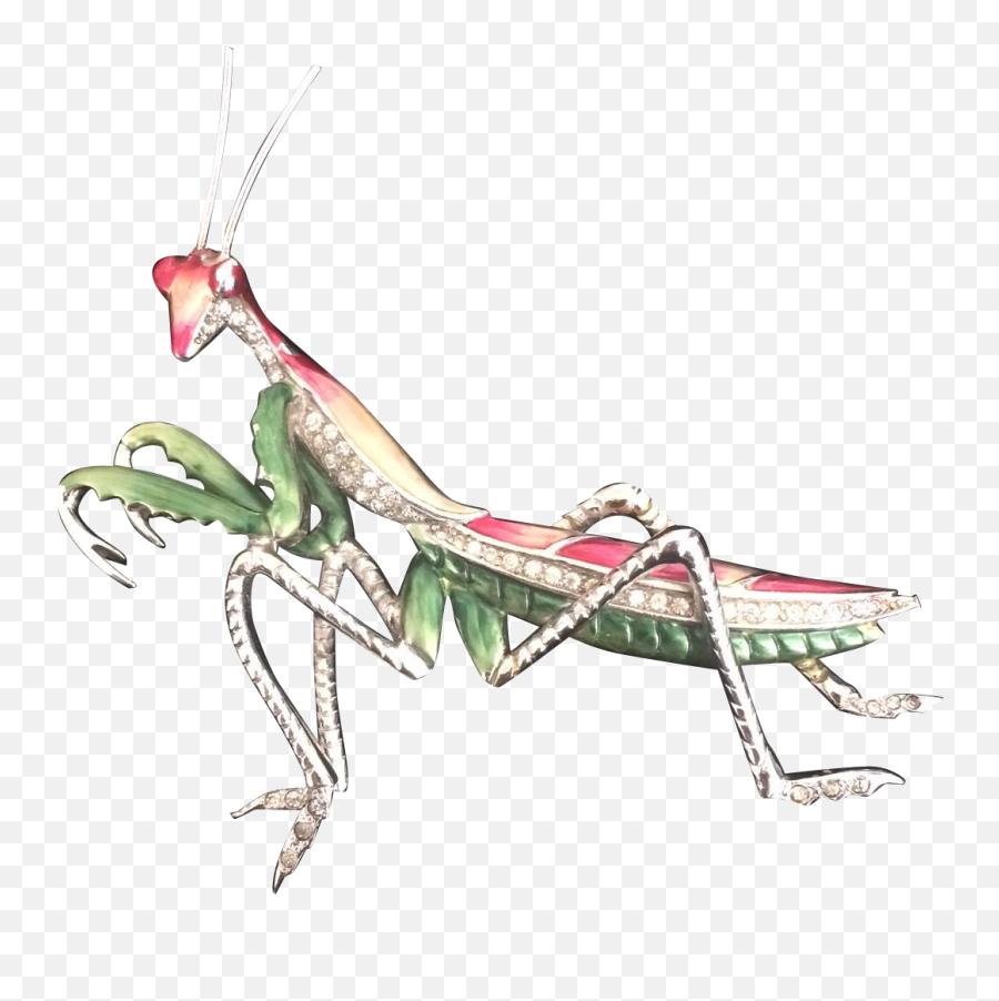 Download Preying Or Praying Mantis - European Mantis Emoji,Mantis Emoji