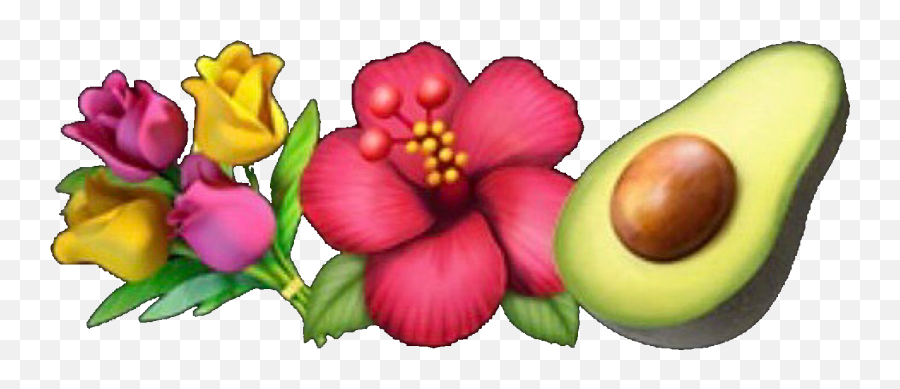 Emoji Emojis Emojicombo Guacamole Flower Flowers - Hibiscus Flower Emoji Png,Flower Emoji Png