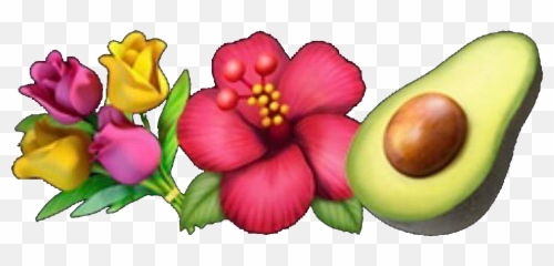Emoji Emojis Emojicombo Guacamole Flower Flowers - Hibiscus Flower Emoji Png,Flower Emoji Png