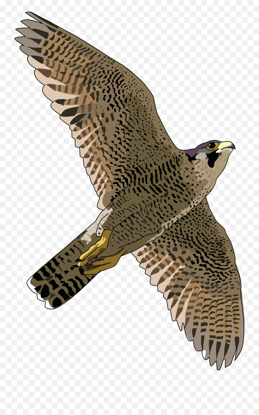 Atlanta Falcons Clipart Clipart 3 - Flying Peregrine Falcon Png Emoji,Atlanta Falcons Emoji