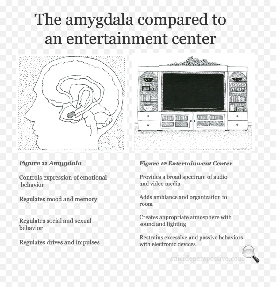The Suicidal Brain - Display Device Emoji,Amygdala Emotions