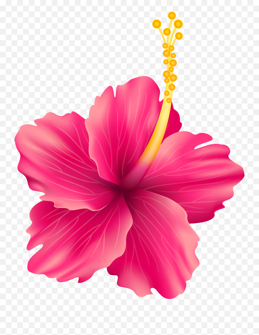 Hawaii Clipart Pink Hibiscus Flower Picture 1306025 Hawaii Emoji,Hibiscus Emoji