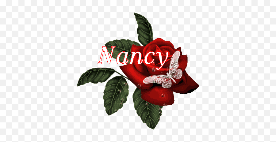 Name Graphics Nancy 291616 - Name Gif Butterfly Pictures Emoji,