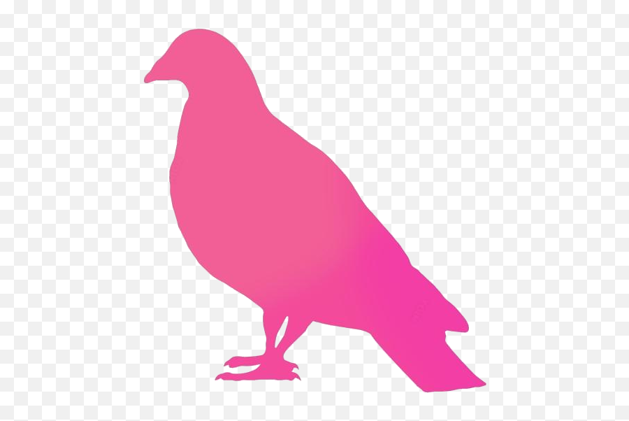 Transparent Quail Bird Png Cartoon - Bird Emoji,Quail Emoji