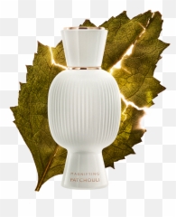 Bvlgari Allegra Magnifying Patchouli - Allegra Bulgari Magnifying Emoji,Patchouli And Emotions