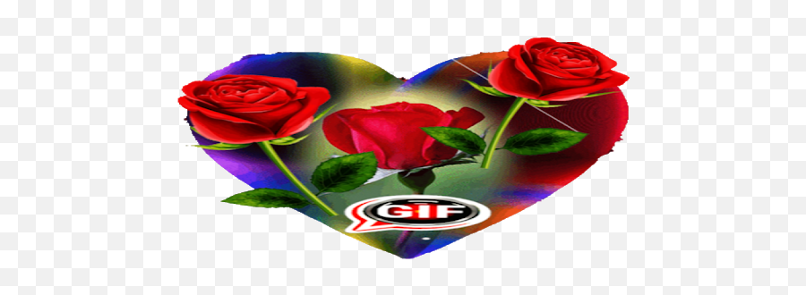 Beautiful Flowers And Roses Pictures Gif On Windows Pc - Romantic Emoji,Facebook Emoticons Flowers