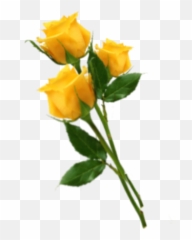 The Most Edited Gif Picsart - Fresh Emoji,Plant And Ram Emoji