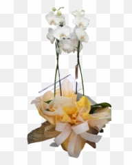 Orchid Beatiful Flower Floricultura Curitiba - Moth Orchid Emoji,Coroas De Folres Para Velorio Em Emoji