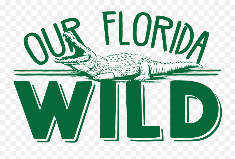 Florida Odds Of Sharks Alligators - Language Emoji,Facebook Emoticons Alligator