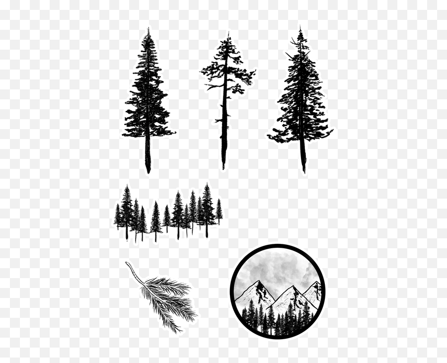 Pine Forest Png - 1x Sticker Pack Of Six Diecut Stickers Tropical And Subtropical Coniferous Forests Emoji,Forest At Night Emoji