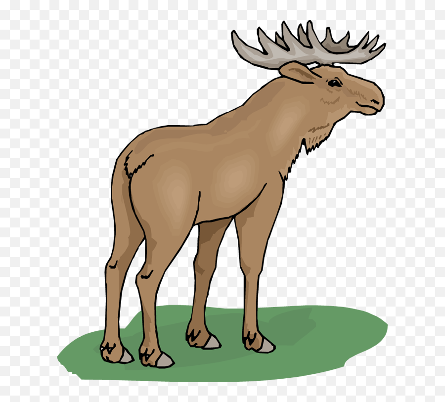 Free Moose Clipart 5 - Elg Clipart Transparent Background Emoji,Moose Emoji