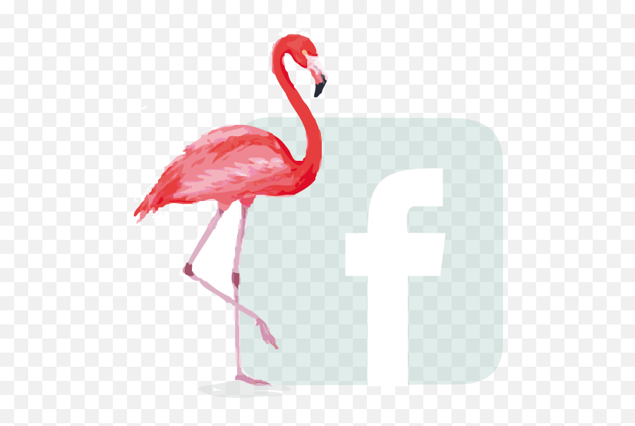 Surla Tarifa - Greater Flamingo Emoji,Flamongo Emoji