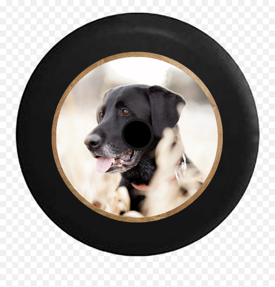 Jl Hole Animal Tire Covers U2013 Page 2 U2013 Tirecoverpro Emoji,Boxer Dog Emoticons