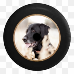 Jl Hole Animal Tire Covers U2013 Page 2 U2013 Tirecoverpro Emoji,Boxer Dog Emoticons