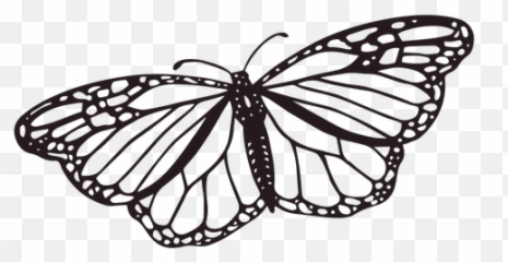 Dead Png U0026 Svg Transparent Background To Download Emoji,Black Butterfly Emoji