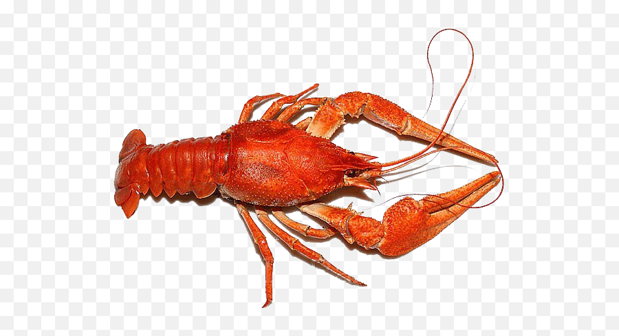 Lobster Png Images Emoji,Crawfish Emoji
