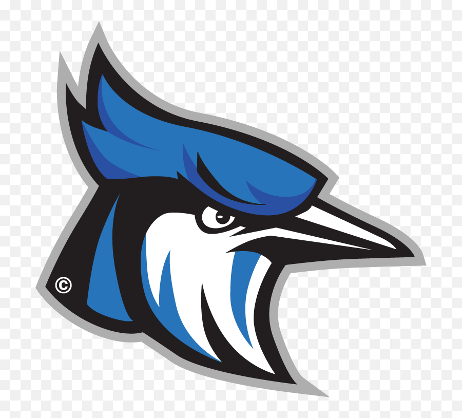 Blue Jay Head Png U0026 Free Blue Jay Headpng Transparent - Raytown High School Blue Jay Emoji,Blue Jay Emoji