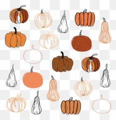 Doodle Doodles Pumpkin Fall Texas Sticker By Chloe - Gourd Emoji,Free Emoji Pumpkin Templates