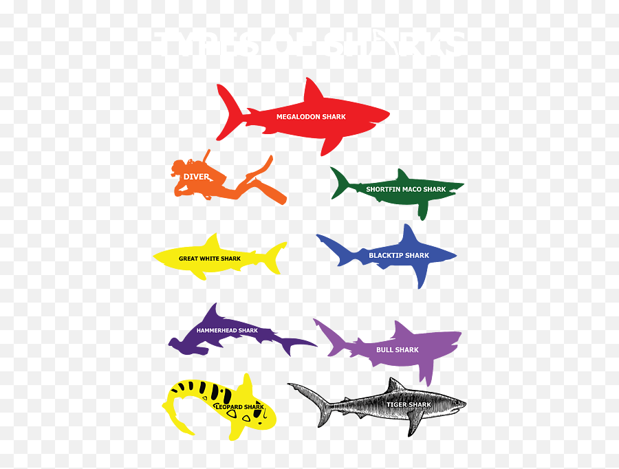 Type Of Sharks Aquamarine Marine Life - Baby Shark Family Sharks Emoji,Shark Eating Penguin Emoticon