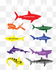 Type Of Sharks Aquamarine Marine Life - Baby Shark Family Sharks Emoji,Shark Eating Penguin Emoticon