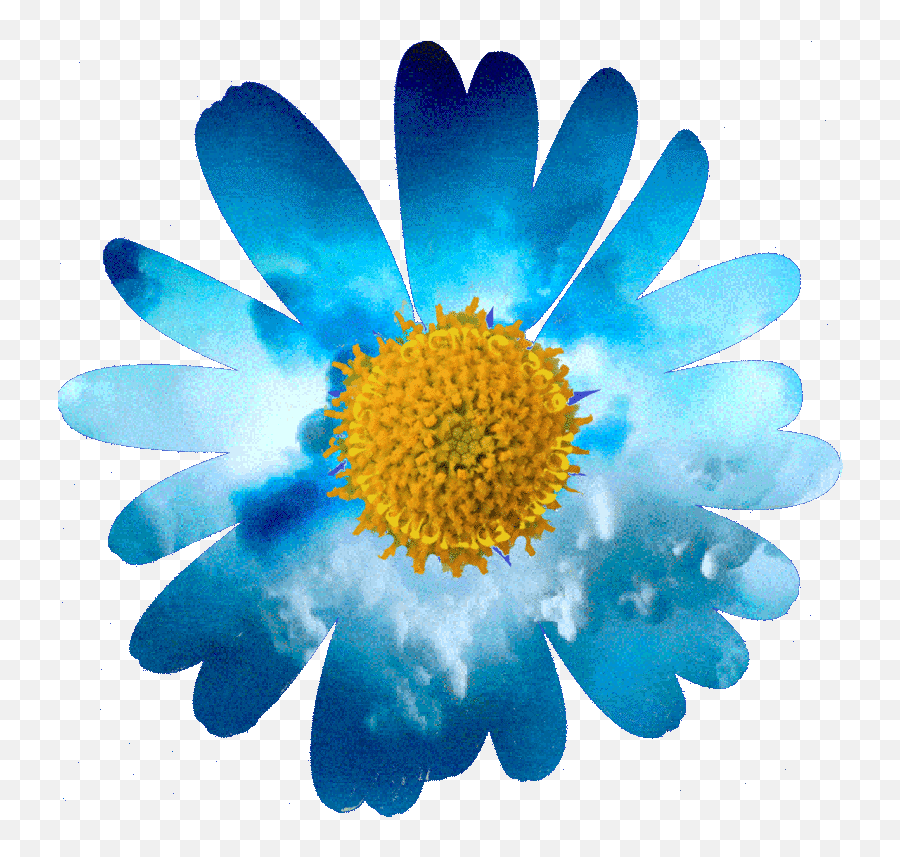 Images Happy Mothers Day Flowers Gif - Blue Flower Gif Transparent Background Emoji,Emoticon Keyboard Notes Carly Rae Jepsen