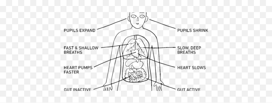 News Archives - The Pain Pt Respuesta Fisiologica Del Estres Emoji,Emotion Chart Of Body Pain