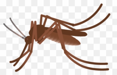 Westnilecagov California West Nile Virus Website - Parasitism Emoji,Dead Animal Emoji