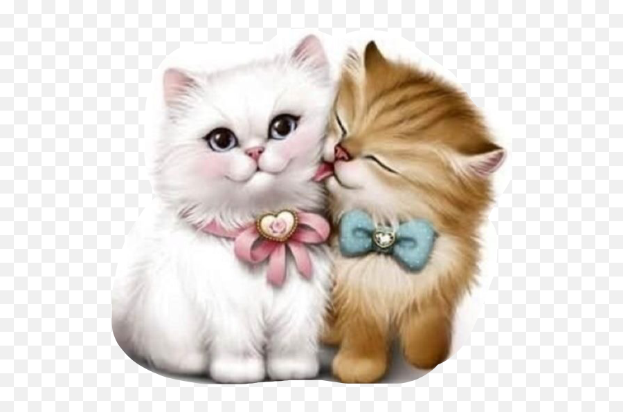 Gatitos Sticker By Gloria Emoji,Persian Emojis Gatitos Sticker By Gloria Emoji,Persian Emojis