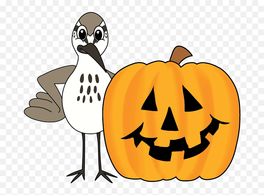 Halloween Images - Mascot Junction Emoji,Penguin Parrot Emoji