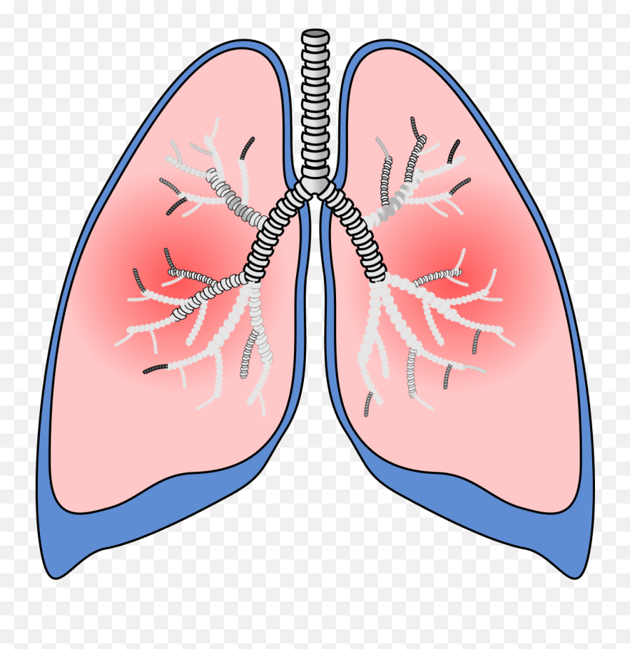 Lungs Png Svg Clip Art For Web - Download Clip Art Png Emoji,Emoji Lungs