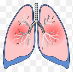 Lungs Png Svg Clip Art For Web - Download Clip Art Png Emoji,Emoji Lungs