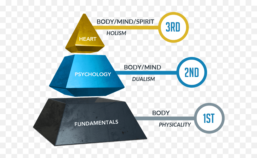 The 3d Coach - What Is It 3d Coaching Emoji,Emotion Coaching Vs Emotion Dismissing