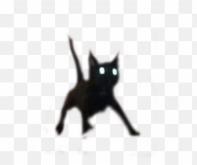 Cat Scaredcat Lol Idk Sticker - Black Cat Emoji,Lolidk Emoticon