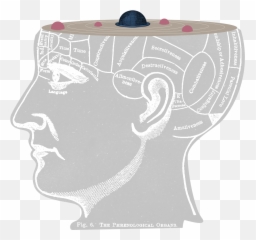 Changing Minds The Labyrinth Of Decision - Hair Design Emoji,Insanity Emotion Drawings