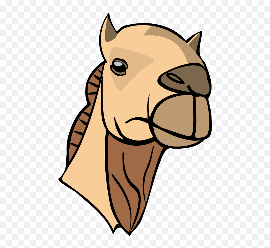 Camel Head Clipart I2clipart - Royalty Free Public Domain Camel Head Clipart Emoji,Camel Text Emoticon